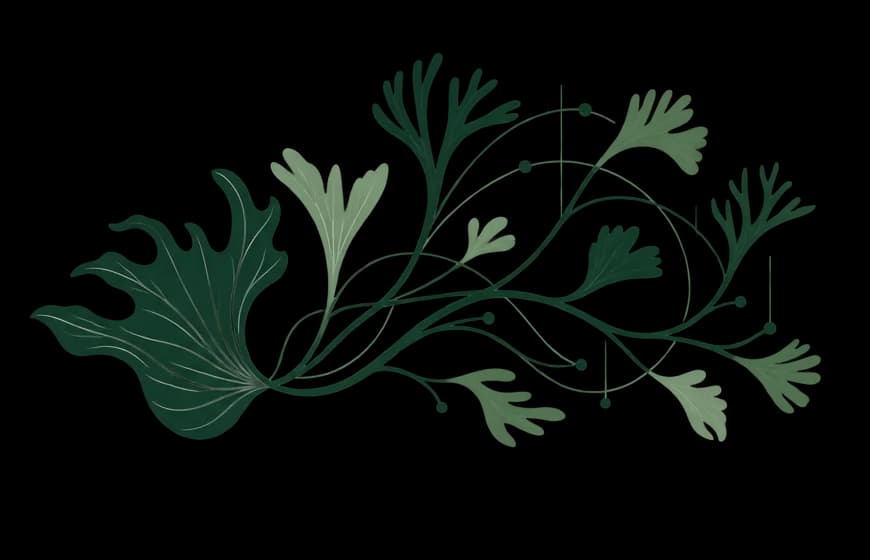 Branching staghorn fronds connected by lines and nodes